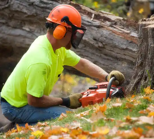 tree services Escanaba